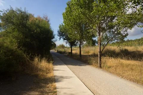 The pedestrian footpaths intersect in the park in summer in sunny weather Stock Photos