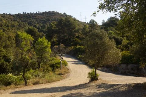 The pedestrian footpaths intersect in the park in summer in sunny weather Stock Photos