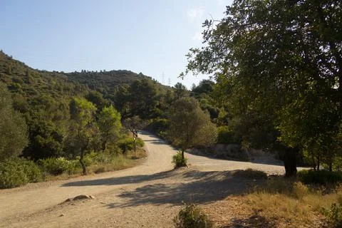 The pedestrian footpaths intersect in the park in summer in sunny weather Stock Photos