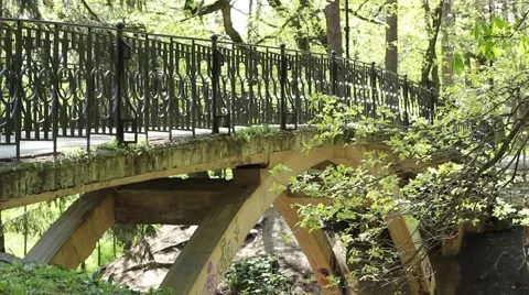 Pedestrian Large Bridge in the Park Stock Footage 46122678