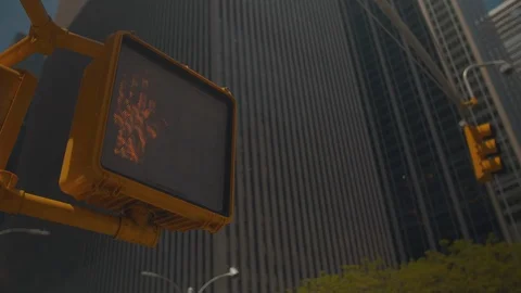 Pedestrian Light in New York Stock Footage 120530357