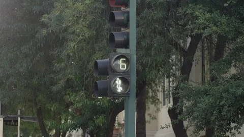 Pedestrian light signal Stock Footage 120042166