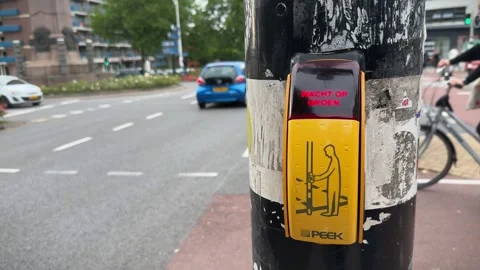 Pedestrian light with yellow touch button and text Wait for green in Dutch Stock Footage 282401557