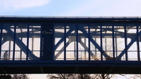 Pedestrian motion along transparent bridge ,time lapse Stock Footage 118947844