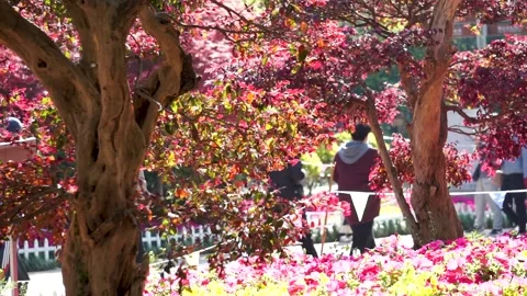 Pedestrian in the park in spring, defocus lens. Stock Footage 223069871
