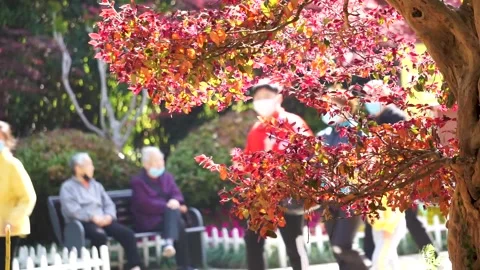Pedestrian in the park in spring, defocus lens. Stock Footage 223069957