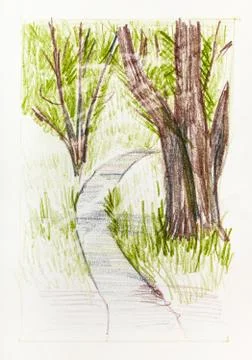 Pedestrian path between trees in park in summer Ilustração Stock