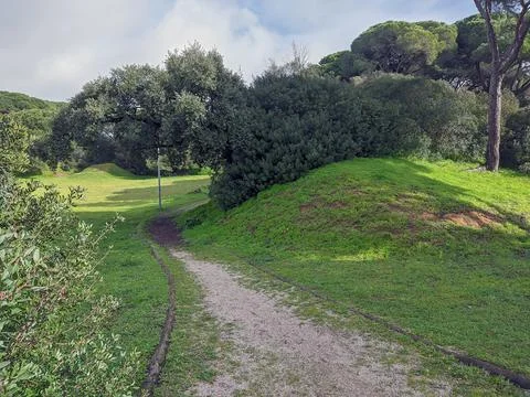 Pedestrian path in the middle of the forest Foto stock