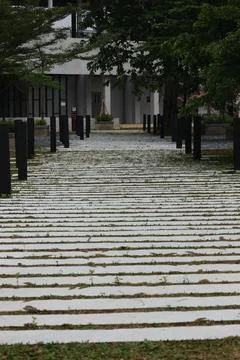 Pedestrian path in a park. Stock Photos