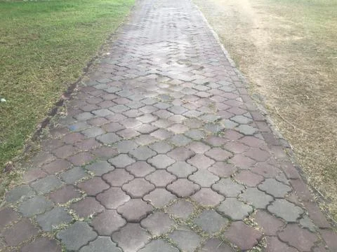 The pedestrian Stock-Fotos