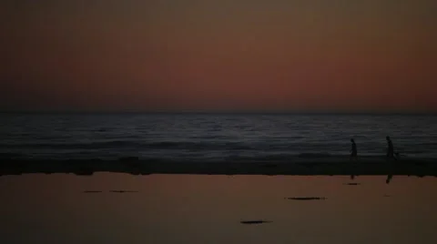 Pedestrian Reflections on Beach 動画素材 22391413