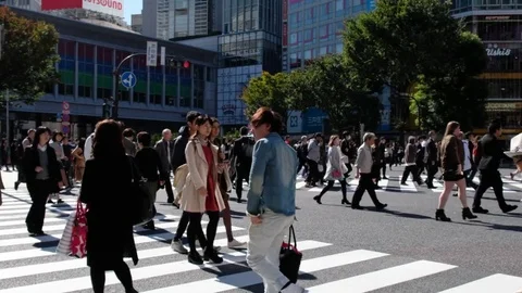 PEDESTRIAN IN SHIBUYA Video stock 84762468