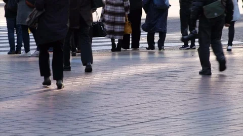 Pedestrian In Shibuya Stock Footage 100944922