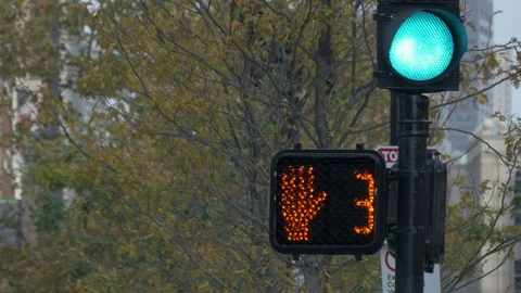 Pedestrian signal countdown Stock Footage 73762494