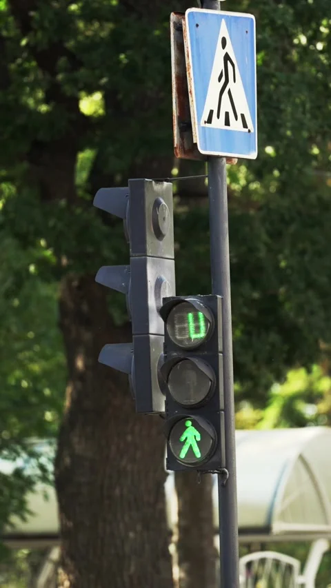 Pedestrian signal shows a countdown for crossing. Traffic light Video stock 343494180