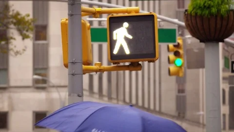 Pedestrian stoplight says go Stock Footage 77142134