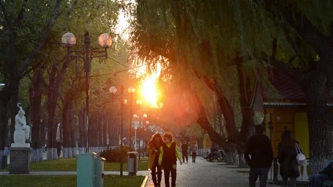 Pedestrian street of Harbin Vídeo Stock 85205010