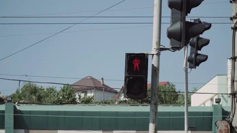 Pedestrian street light. Stock Footage 77155349