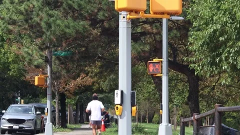 Pedestrian traffic control light, stoplight countdown at an intersection, 4K Stock Footage 339910797
