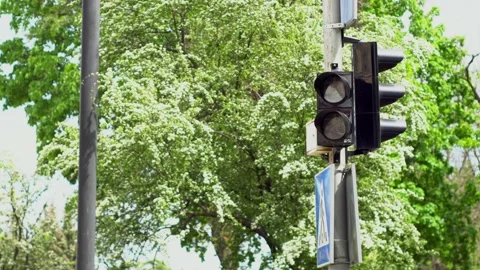The pedestrian traffic light changed from red to green light. Stock Footage 130496966