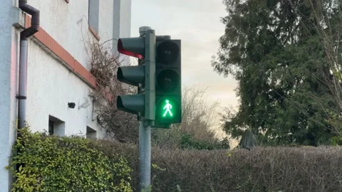Pedestrian Traffic Light Changing From Green Walk to Red Don't Walk Stock Footage 300269600