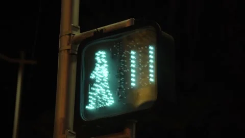 Pedestrian traffic light with countdown from 16 to 0 seconds for green light  Stock Footage 276227730