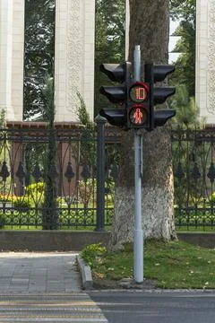 Pedestrian Traffic Light with Countdown Timer Foto stock