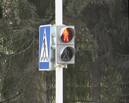 Pedestrian traffic light Stock Footage 25364703