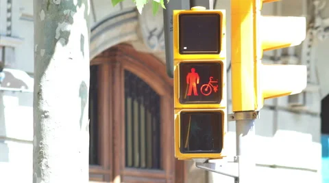 Pedestrian Traffic Light Stock Footage 51671915