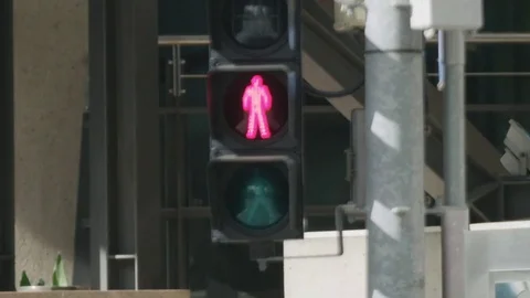 Pedestrian Traffic Light 스톡 동영상 76537640