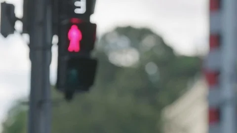 Pedestrian Traffic Light Stock Footage 76537866