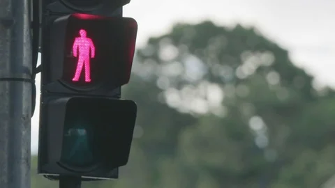 Pedestrian Traffic Light Stock Footage 76538608