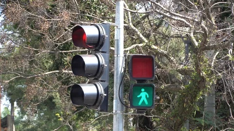 Pedestrian Traffic Light Stock Footage 94236511