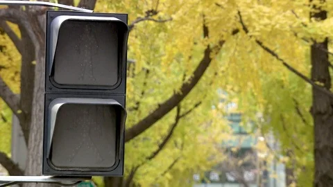 Pedestrian traffic light Stock Footage 126967877