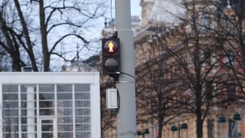 Pedestrian Traffic Light Stock Footage 300987310