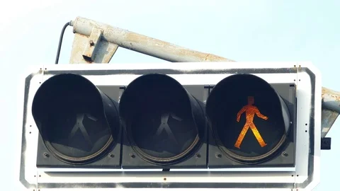 Pedestrian traffic light in front of school Stock Footage 70862477