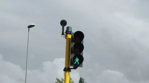Pedestrian traffic light green light Stock Footage 75313102