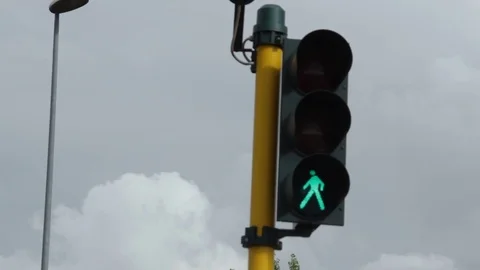 Pedestrian traffic light green light Stock Footage 75313158