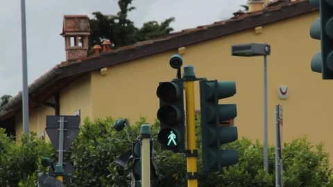 Pedestrian traffic light green light  Stock Footage 75313164