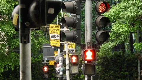 Pedestrian traffic light in row with the... | Stock Video | Pond5