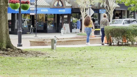 Pedestrian traffic in Winter Park. Video stock 221370965
