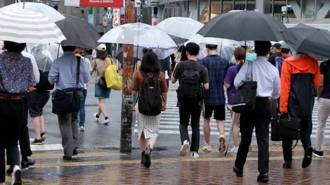 Pedestrian With Umbrella Video stock 91888897