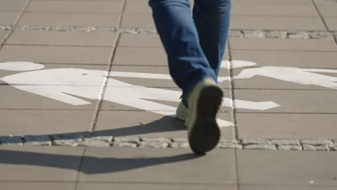Pedestrian walking away from camera over painted pedestrian path marking Stock-Footage 344187185