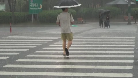 A pedestrian walking in heavy rain Stock Footage 333085618