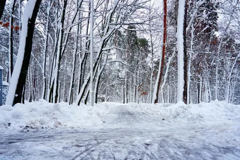 Pedestrian walking intersection cleared of snow in a winter park Foto stock