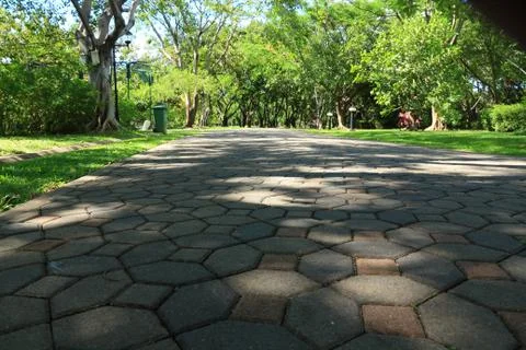 Pedestrian walkway for exercise lined up with silvan tree. Foto stock