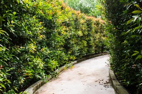 Pedestrian walkway Stock Photos