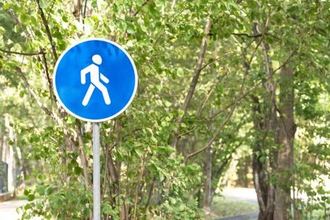 Pedestrian zone in the forest Stock Photos