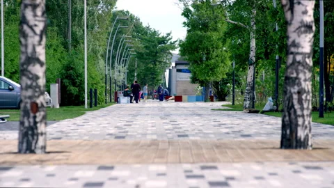Pedestrian zone laid with paving slabs in city park Stock Footage 243300462