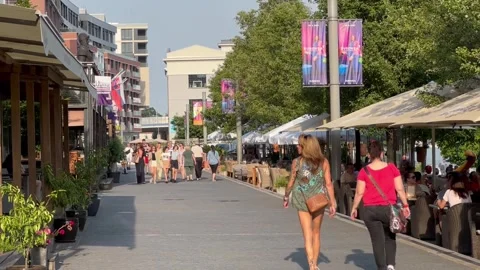Pedestrianized street Stock Footage 244739248